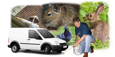 Bottesford local van